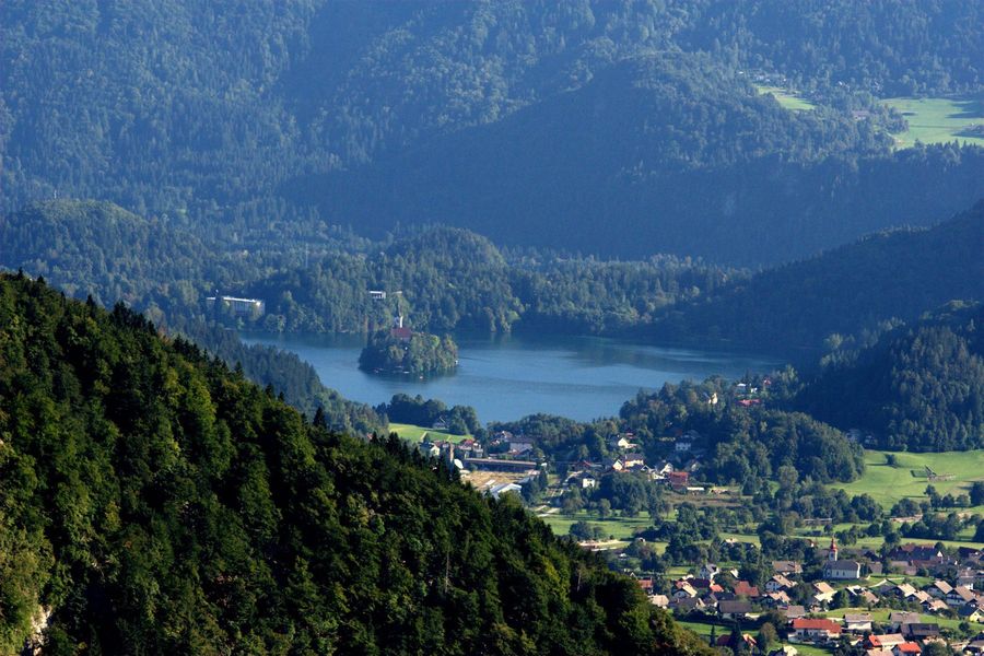 Blick auf Bled vom Weg zur Alm Obranca