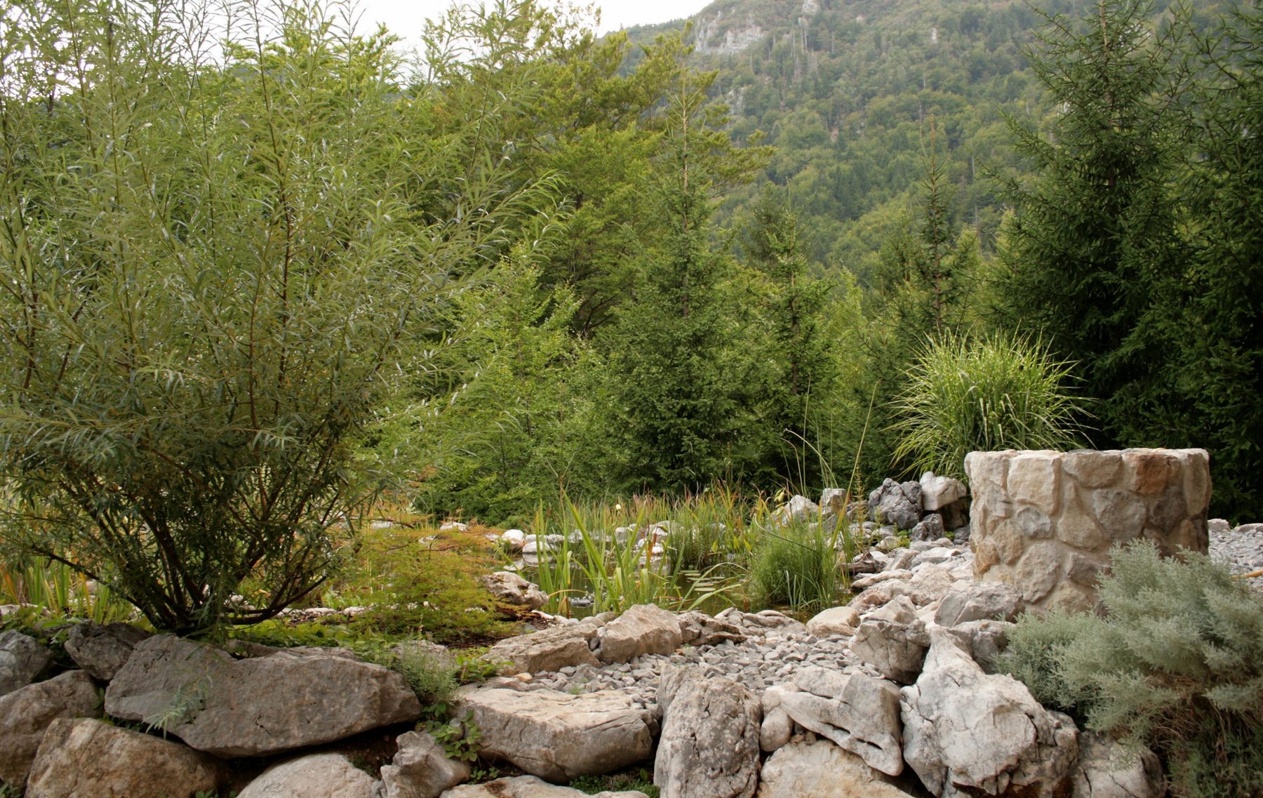 Ribnik na vrtu pred apartmajema